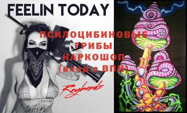 spice Надым