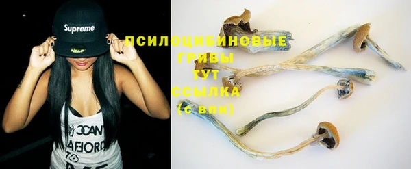 дмт Нефтегорск