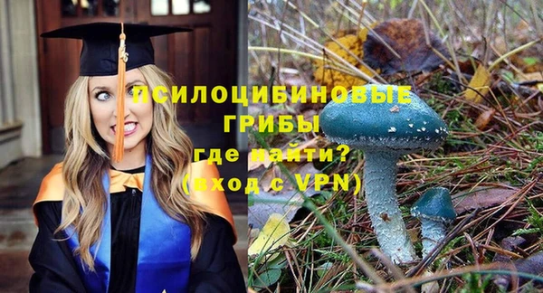 PSILOCYBIN Нефтекумск