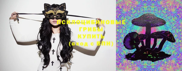 дмт Нефтегорск