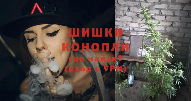 Бошки Шишки SATIVA & INDICA  где найти наркотики  Электроугли 